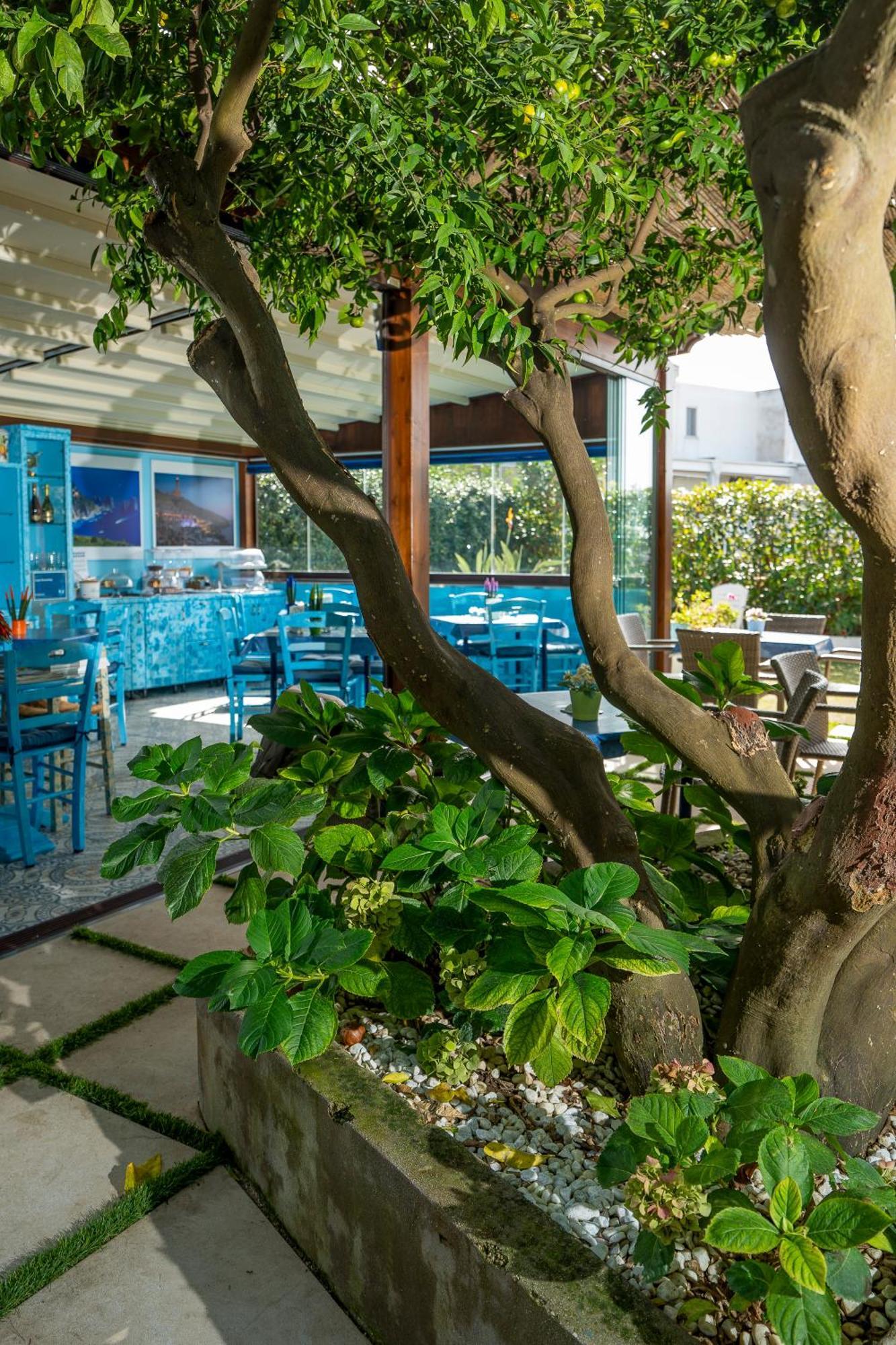 Capri Dreaming Bed & Breakfast อนากาปรี ภายนอก รูปภาพ