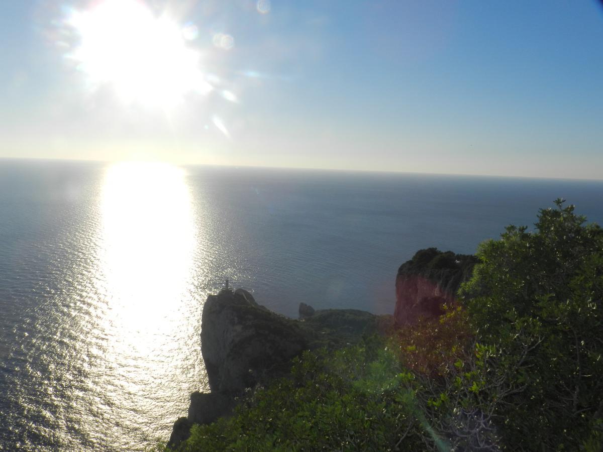 Capri Dreaming Bed & Breakfast อนากาปรี ภายนอก รูปภาพ