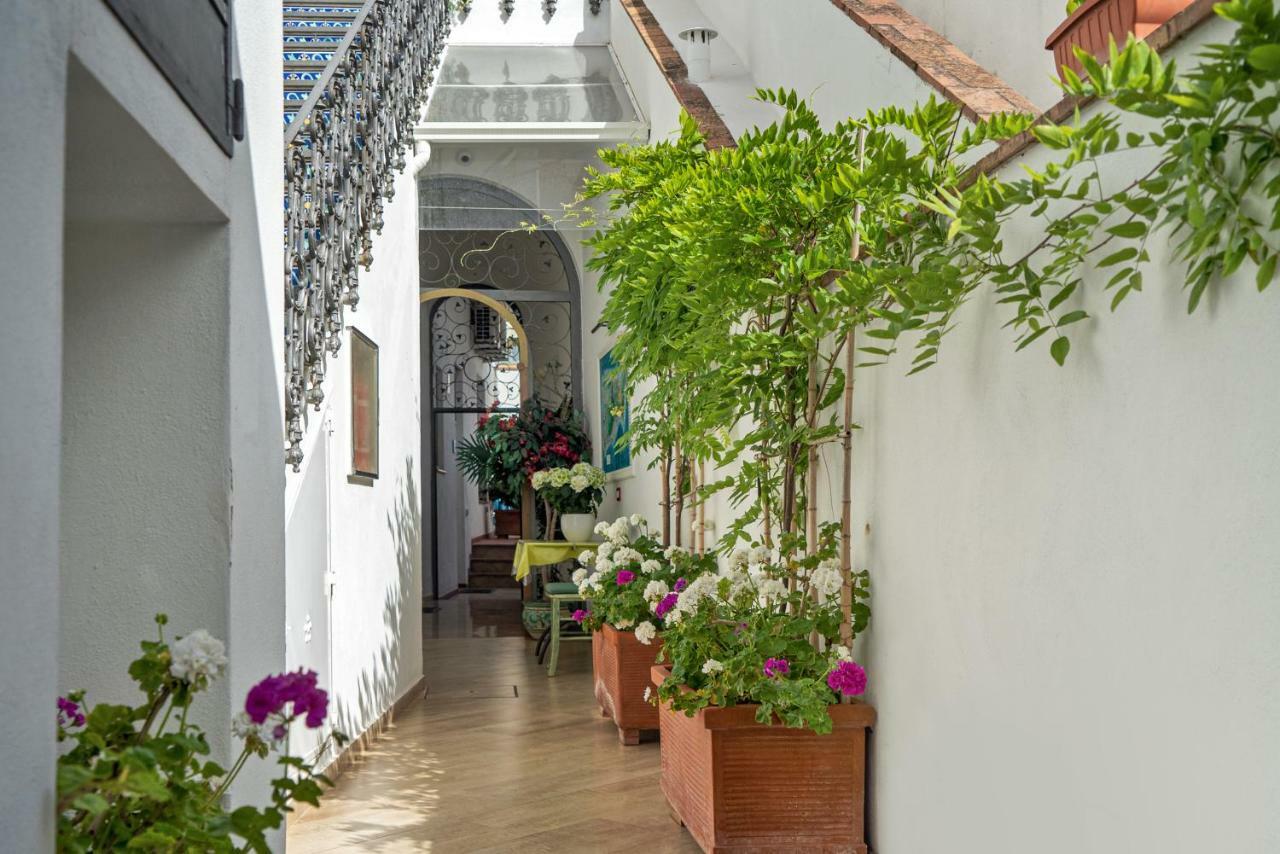 Capri Dreaming Bed & Breakfast อนากาปรี ภายนอก รูปภาพ