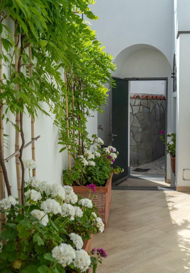 Capri Dreaming Bed & Breakfast อนากาปรี ภายนอก รูปภาพ